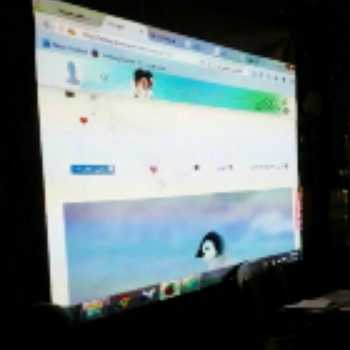 نویسنده: نفیسه کاظمی