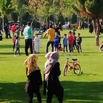 نویسنده: سیدمصطفی سیدجلالی
