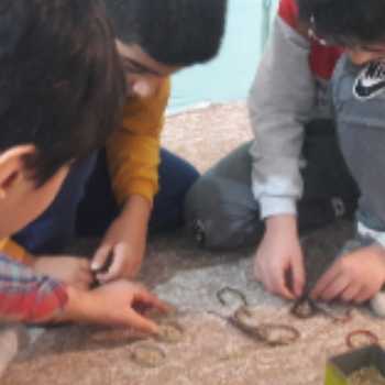 نویسنده: محمدرضا علیزاده